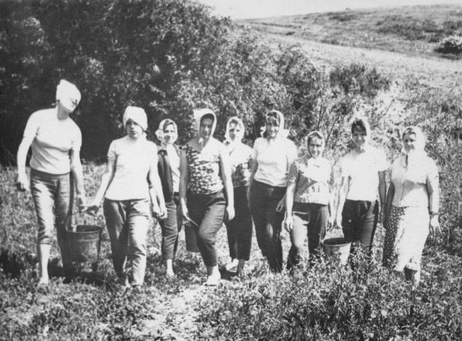 1964-65г. Урожай из собственного сада школы-интерната.